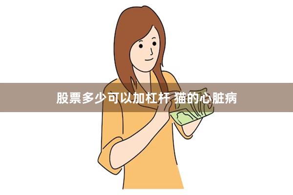 股票多少可以加杠杆 猫的心脏病