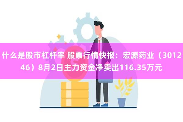 什么是股市杠杆率 股票行情快报：宏源药业（301246）8月2日主力资金净卖出116.35万元