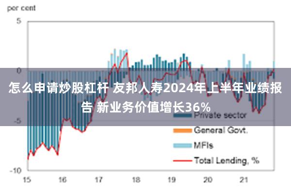 怎么申请炒股杠杆 友邦人寿2024年上半年业绩报告 新业务价值增长36%