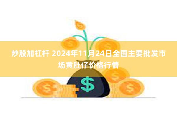 炒股加杠杆 2024年11月24日全国主要批发市场黄肚仔价格行情