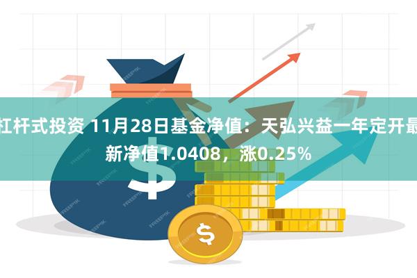 杠杆式投资 11月28日基金净值：天弘兴益一年定开最新净值1.0408，涨0.25%