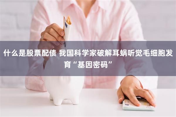 什么是股票配债 我国科学家破解耳蜗听觉毛细胞发育“基因密码”