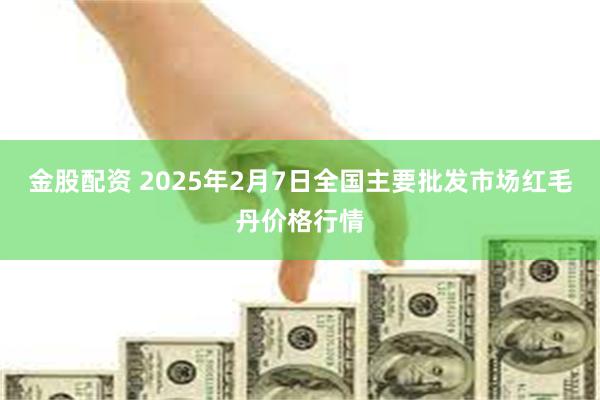 金股配资 2025年2月7日全国主要批发市场红毛丹价格行情