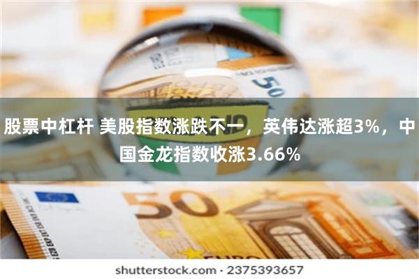 股票中杠杆 美股指数涨跌不一，英伟达涨超3%，中国金龙指数收涨3.66%