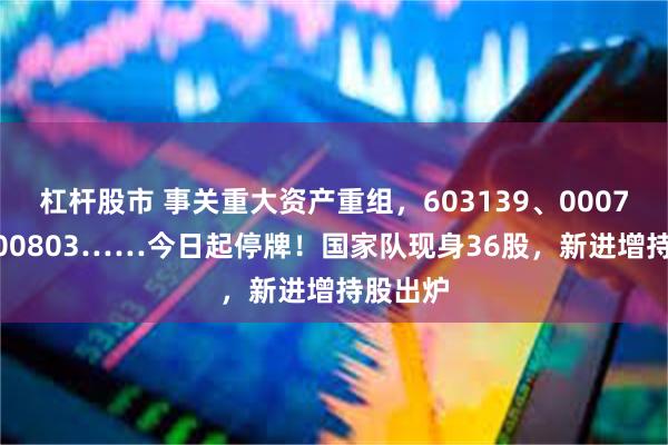 杠杆股市 事关重大资产重组，603139、000722、600803……今日起停牌！国家队现身36股，新进增持股出炉