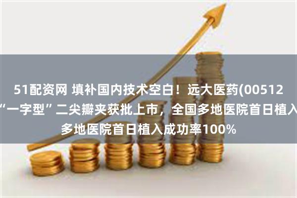 51配资网 填补国内技术空白!远大医药(00512)NeoNova?“一字型”二尖瓣夹获批上市,全国多地医院首日植入成功率100%